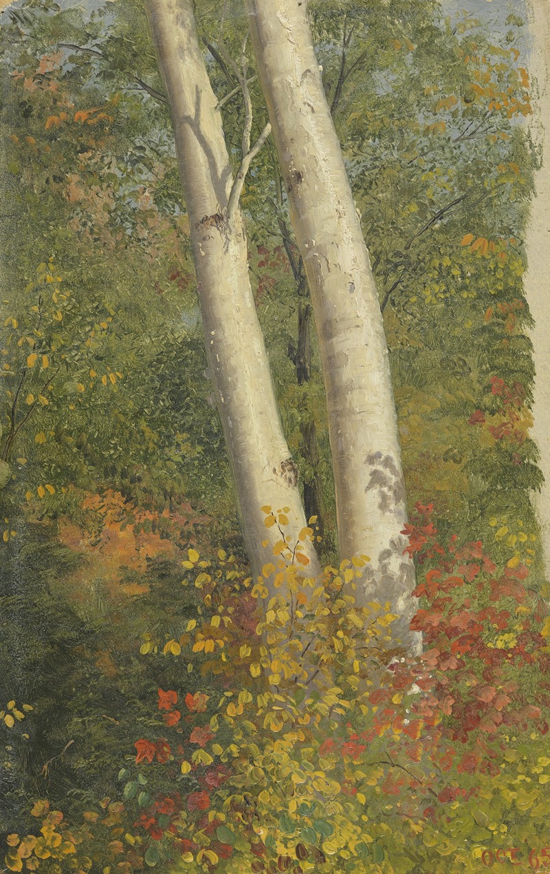Frederic Edwin Church - Birch Trees in Autumn