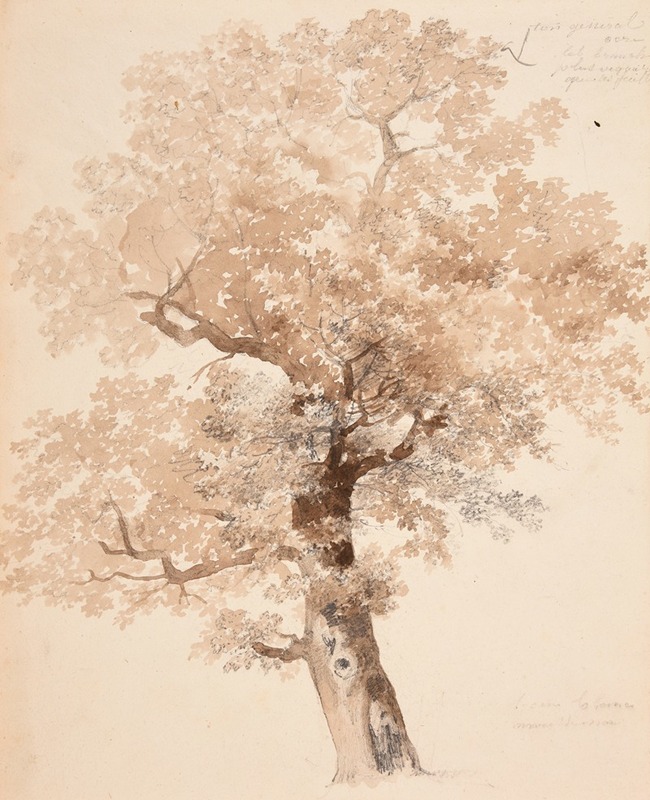 Jacques-Raymond Brascassat - Étude d’arbre