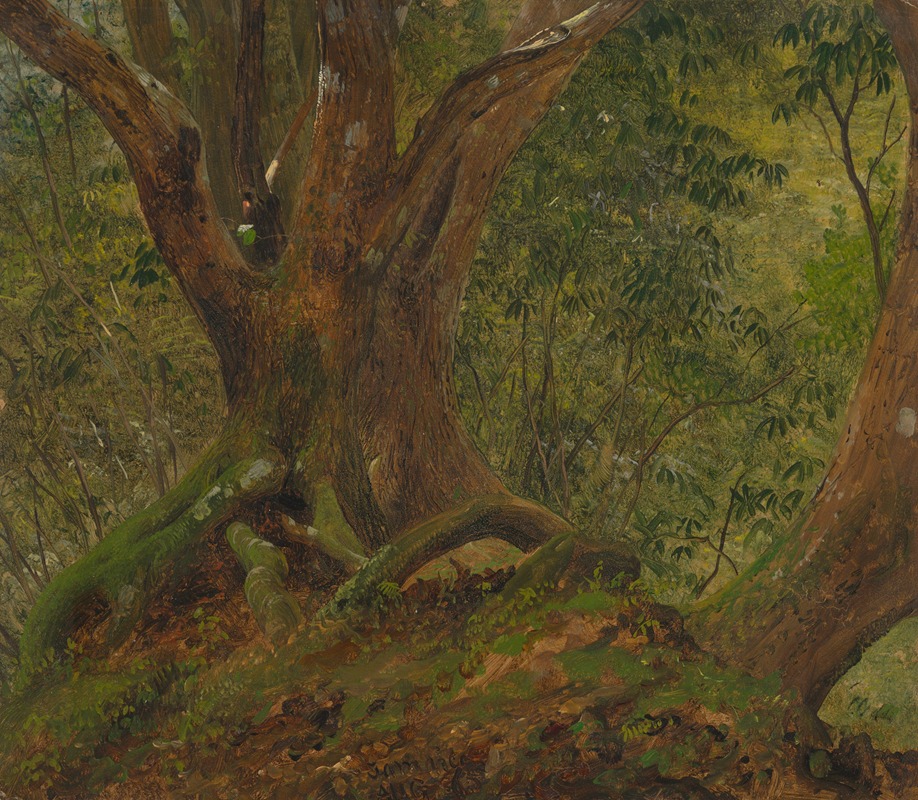Frederic Edwin Church - In the woods, Jamaica