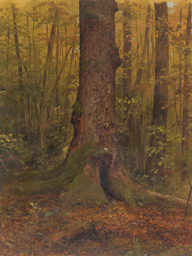 Frederic Edwin Church - In the Woods, probably Maine
