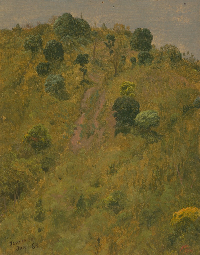 Frederic Edwin Church - Landscape V