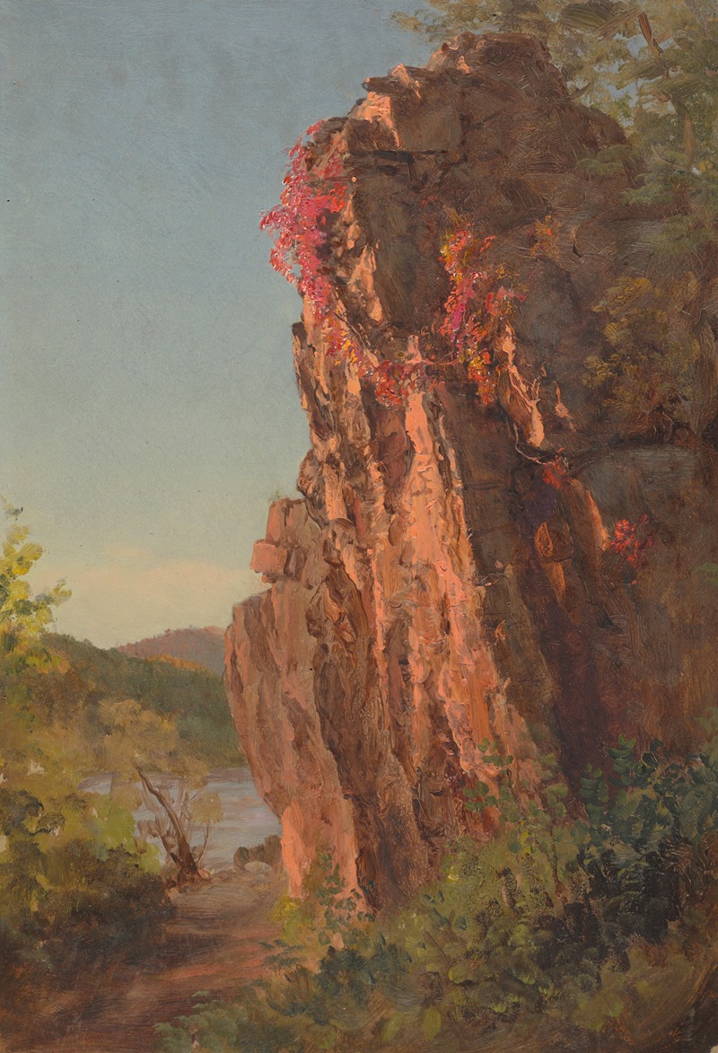 Frederic Edwin Church - Landscape with Large Rock, possibly North Carolina