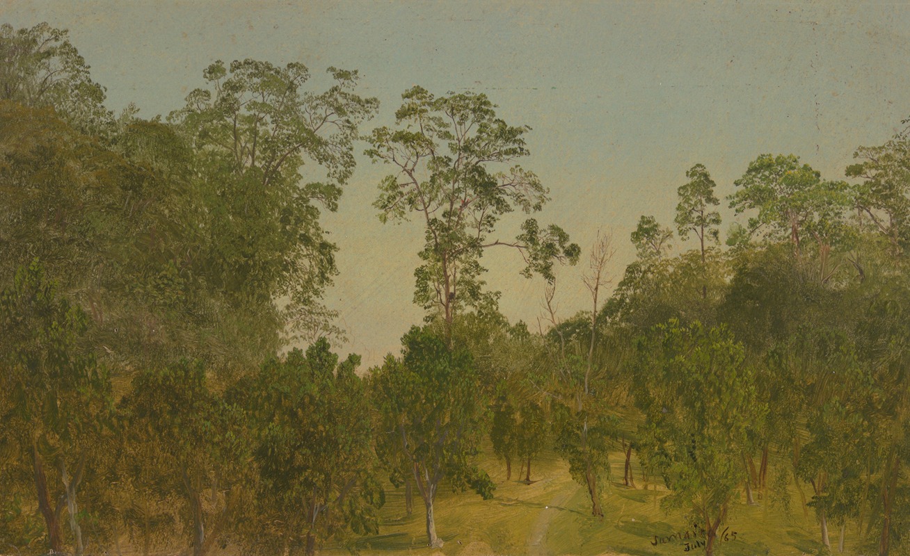 Frederic Edwin Church - Landscapes