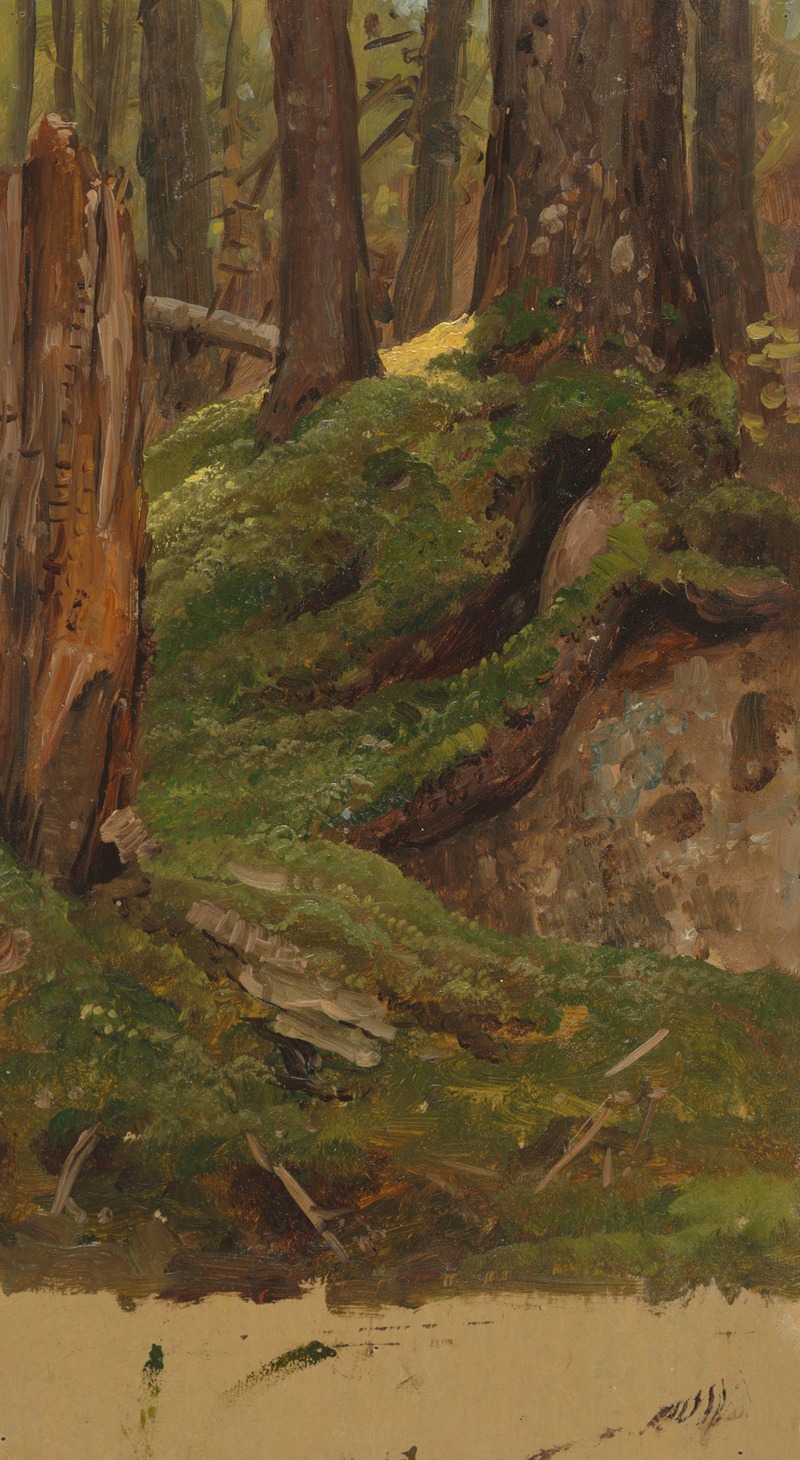 Frederic Edwin Church - Maine woods
