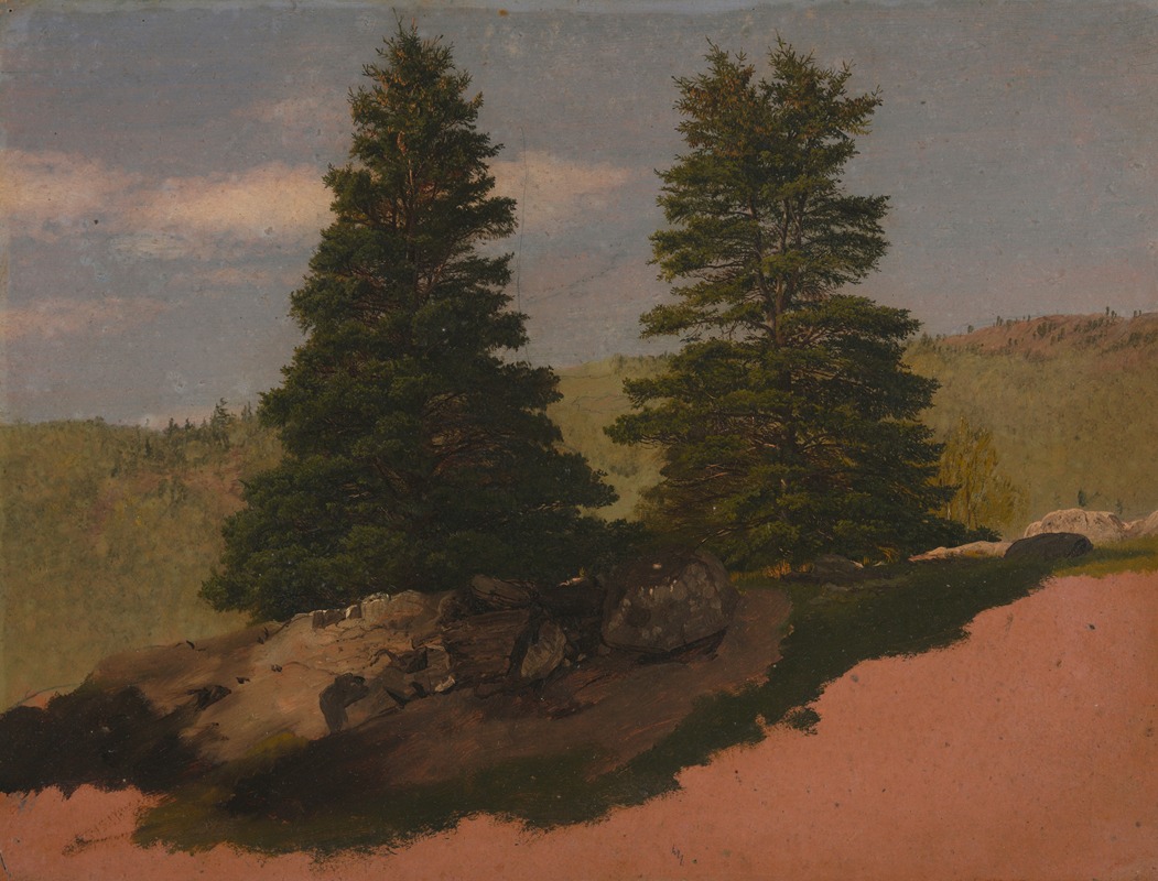 Frederic Edwin Church - New England Landscape (Two Pine Trees)