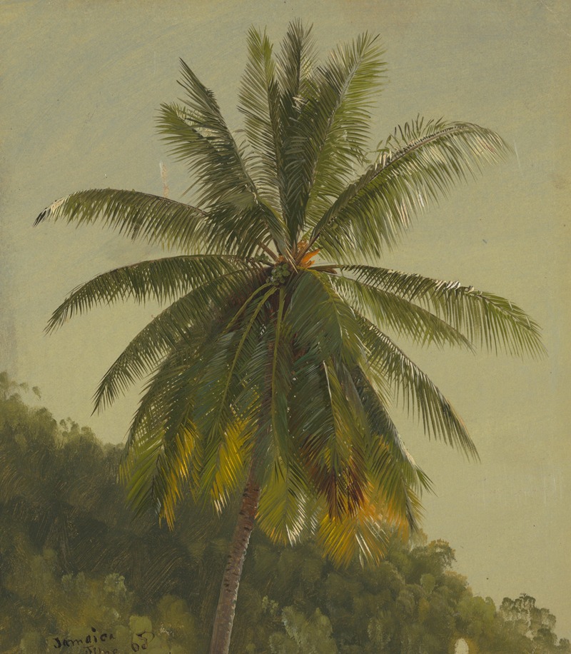 Frederic Edwin Church - Palm Trees, West Indies