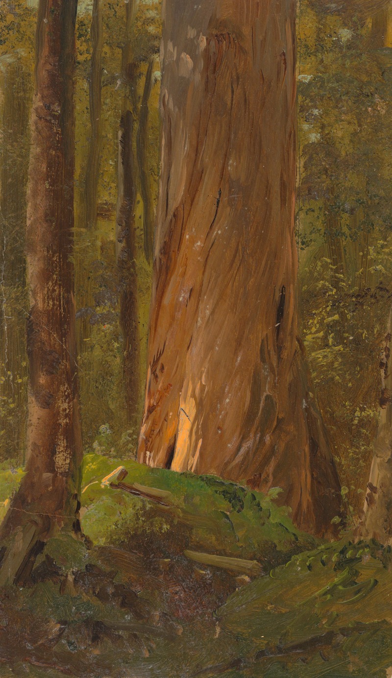 Frederic Edwin Church - Study in the Maine Woods