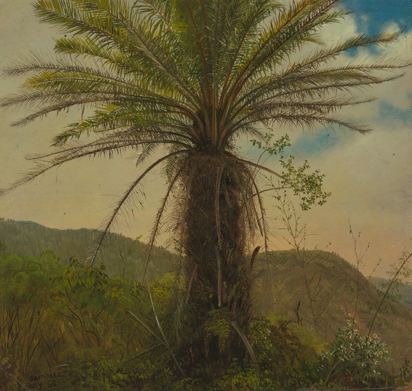 Frederic Edwin Church - Tree Fern, Jamaica