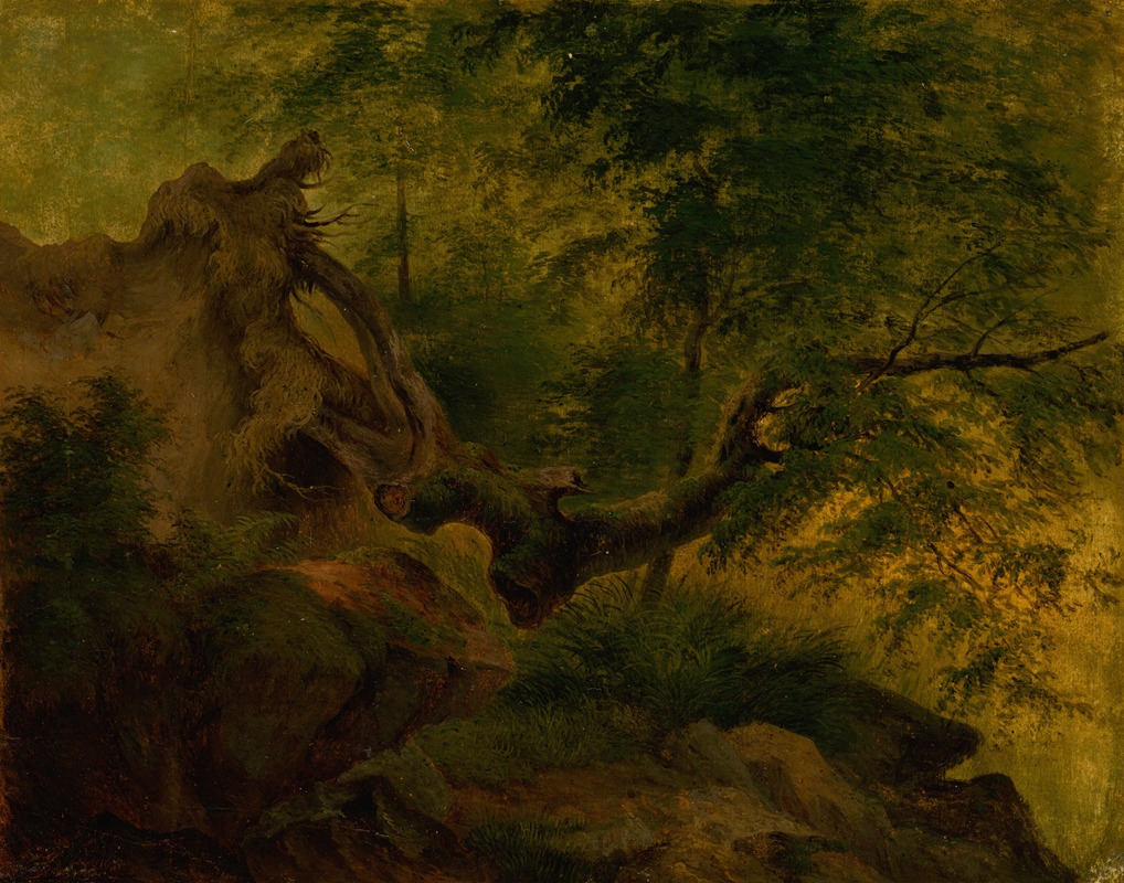 Jozef Božetech Klemens - Uprooted Tree (Windthrow)