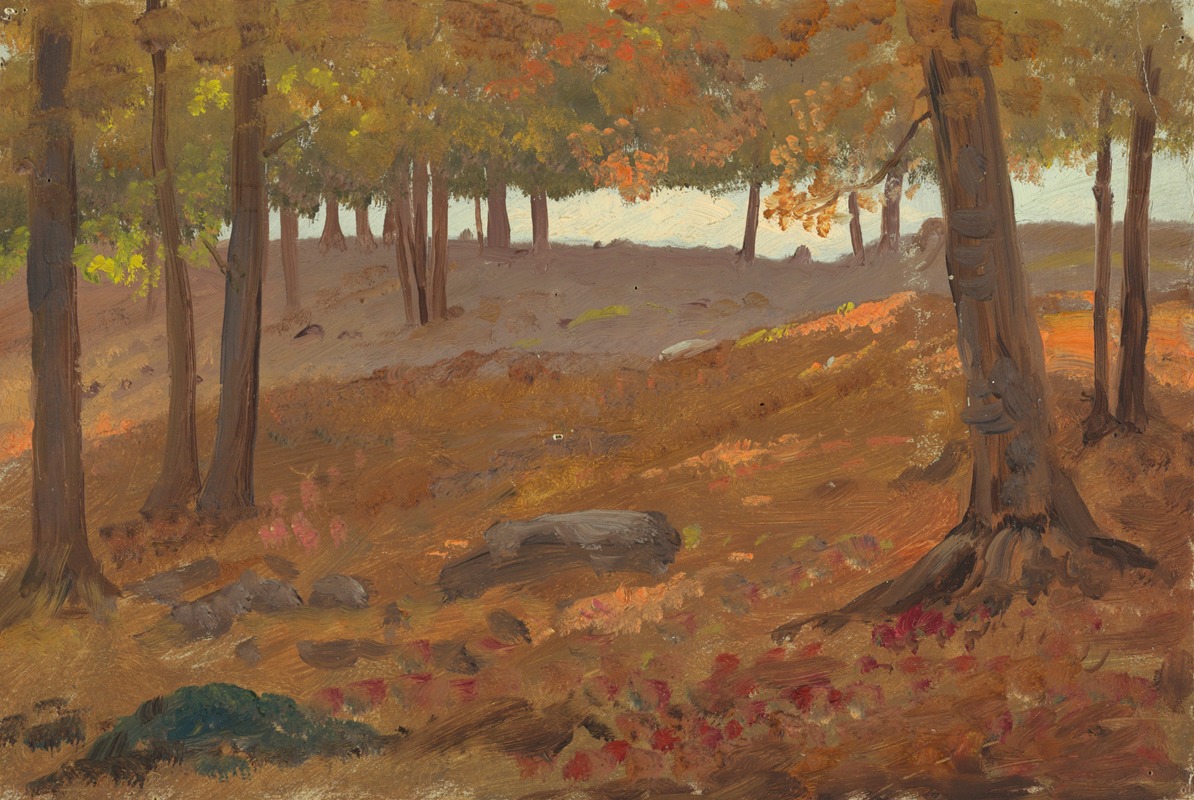 Anonymous - Woods in autumn