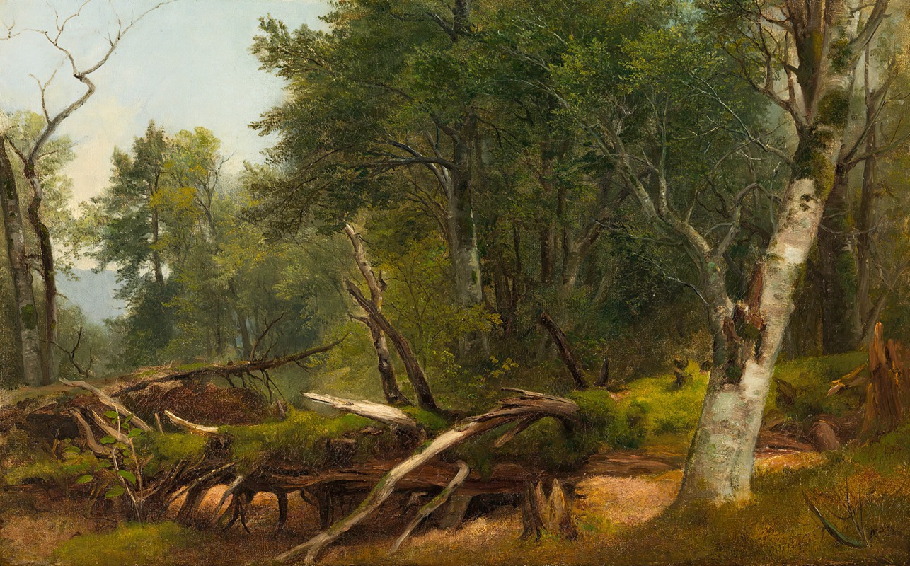 Asher Brown Durand - Forest Scene in the Catskills