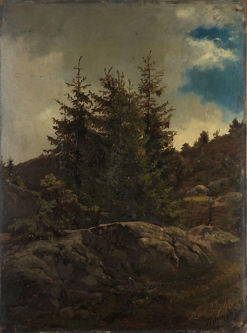 Adolph Tidemand - Landscape from Nes in Hallingdal