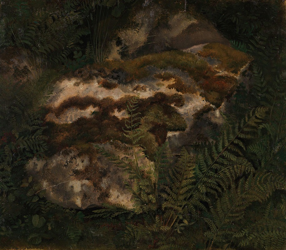 Adolph Tidemand - Study of an Moss-covered Stone and Ferns