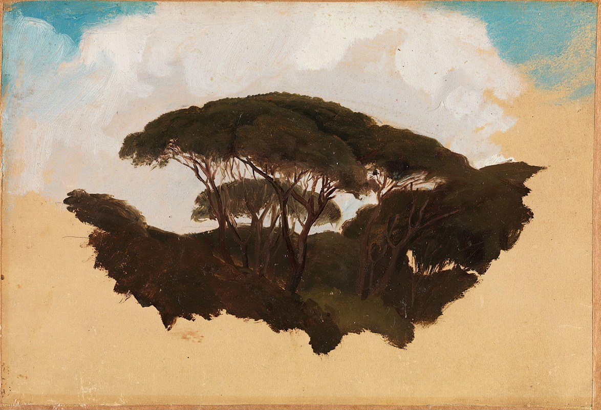 Adolph Tidemand - Study of Stone Pines