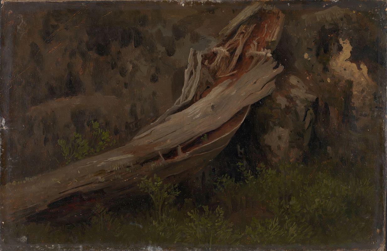 August Cappelen - Study of a decaying Trunk