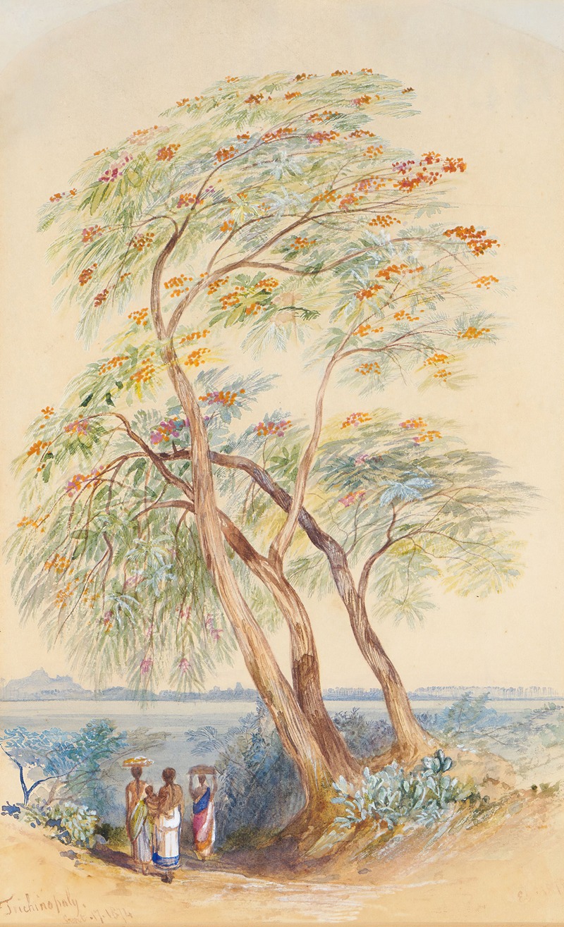 Edward Lear - Tree Study, Trichinopoly, India