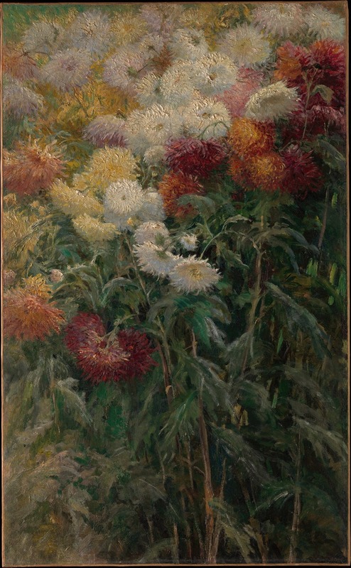 Gustave Caillebotte - Chrysanthemums in the Garden at Petit-Gennevilliers