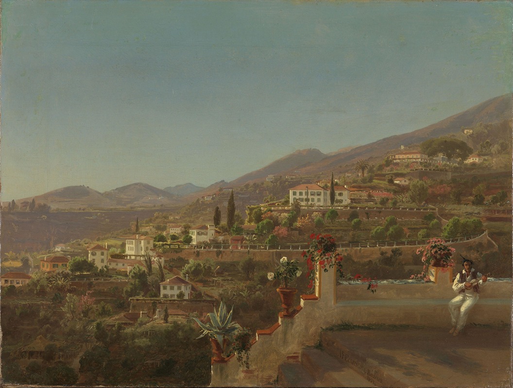 Johan Fredrik Eckersberg - View of Funchal, Madeira