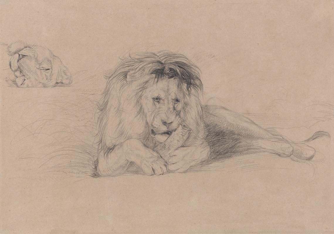 John Frederick Lewis - Study of a Lion and Study of a Lioness’ Head