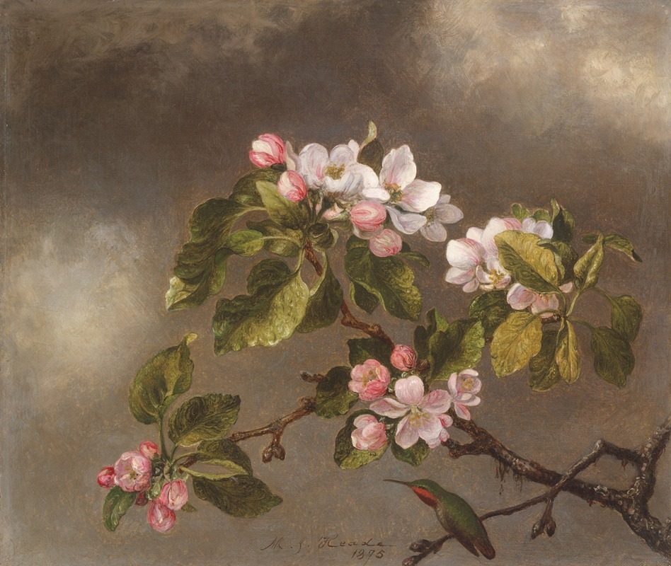 Martin Johnson Heade - Hummingbird and Apple Blossoms