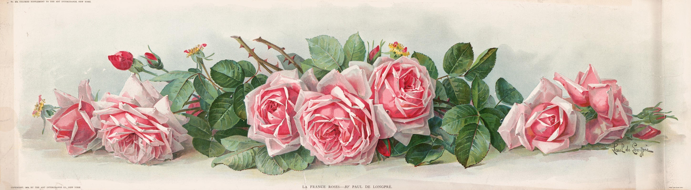 Paul de Longpre - La France roses