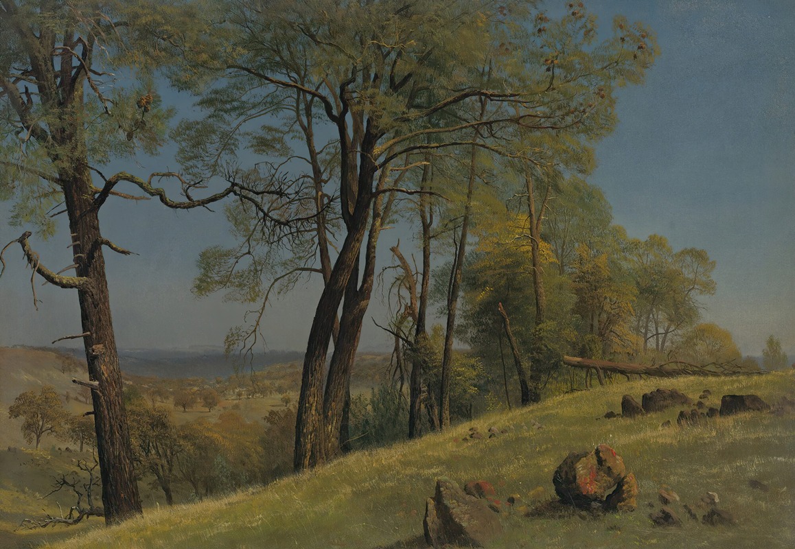 Albert Bierstadt - Rockland county, california