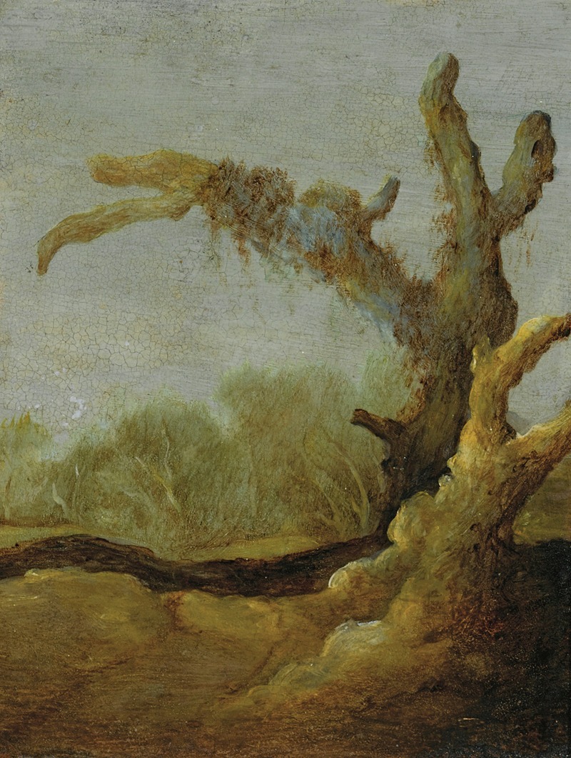 Jacob van Geel - A Tree Trunk In A Landscape
