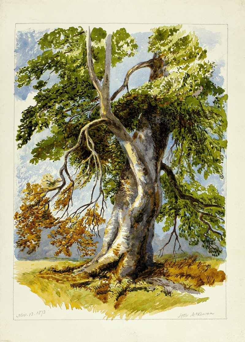 Gnarled Tree by After David Hall McKewan - Artvee