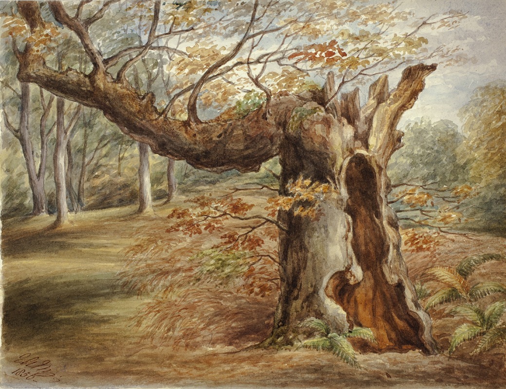 Elizabeth Murray - Rotting Tree