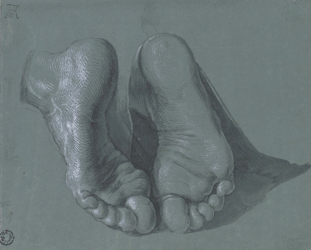 Albrecht Dürer - Study of Two Feet