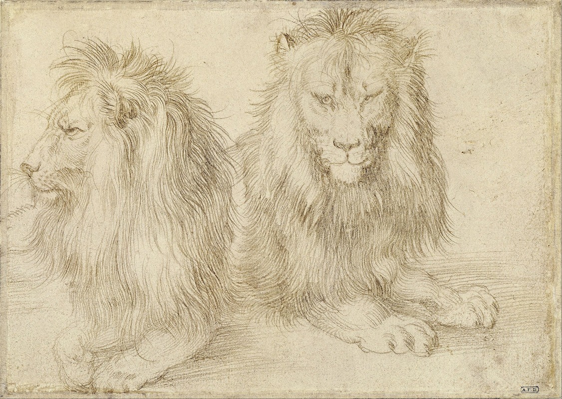 Albrecht Dürer - Two seated lion