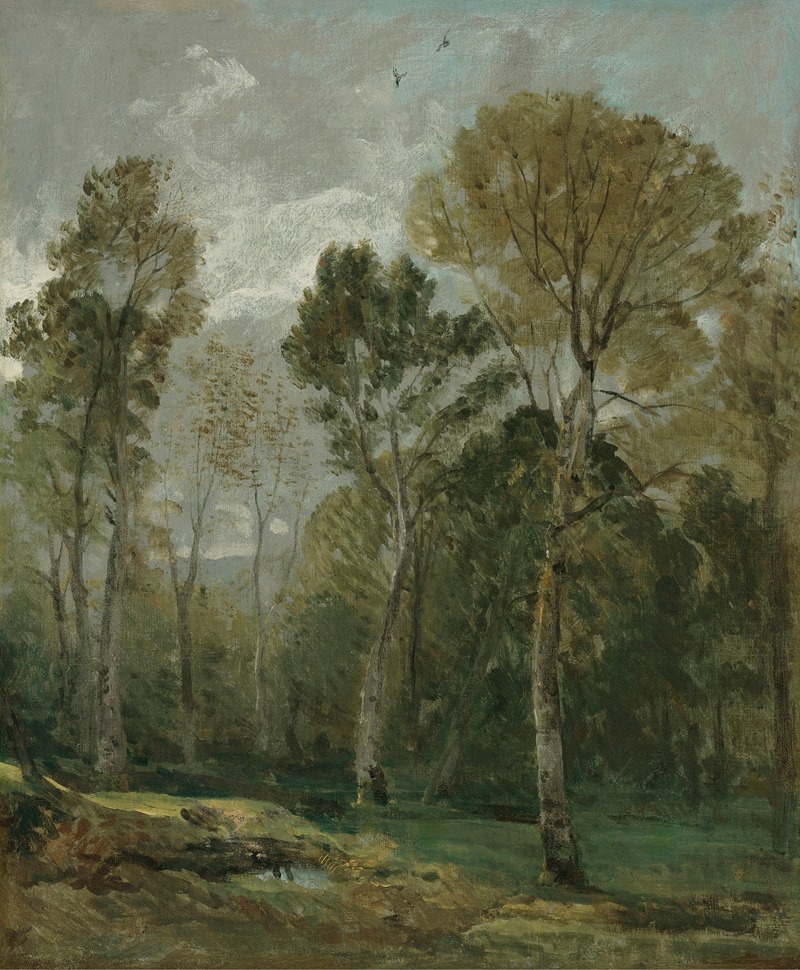 John Constable - View Of A Copse