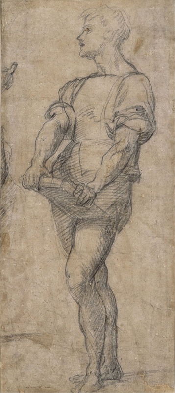 Andrea del Sarto - Standing youth holding a book