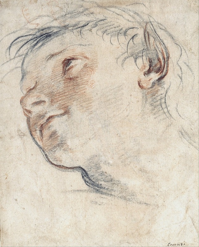 Domenico Maria Canuti - Study for the Head of a Faun