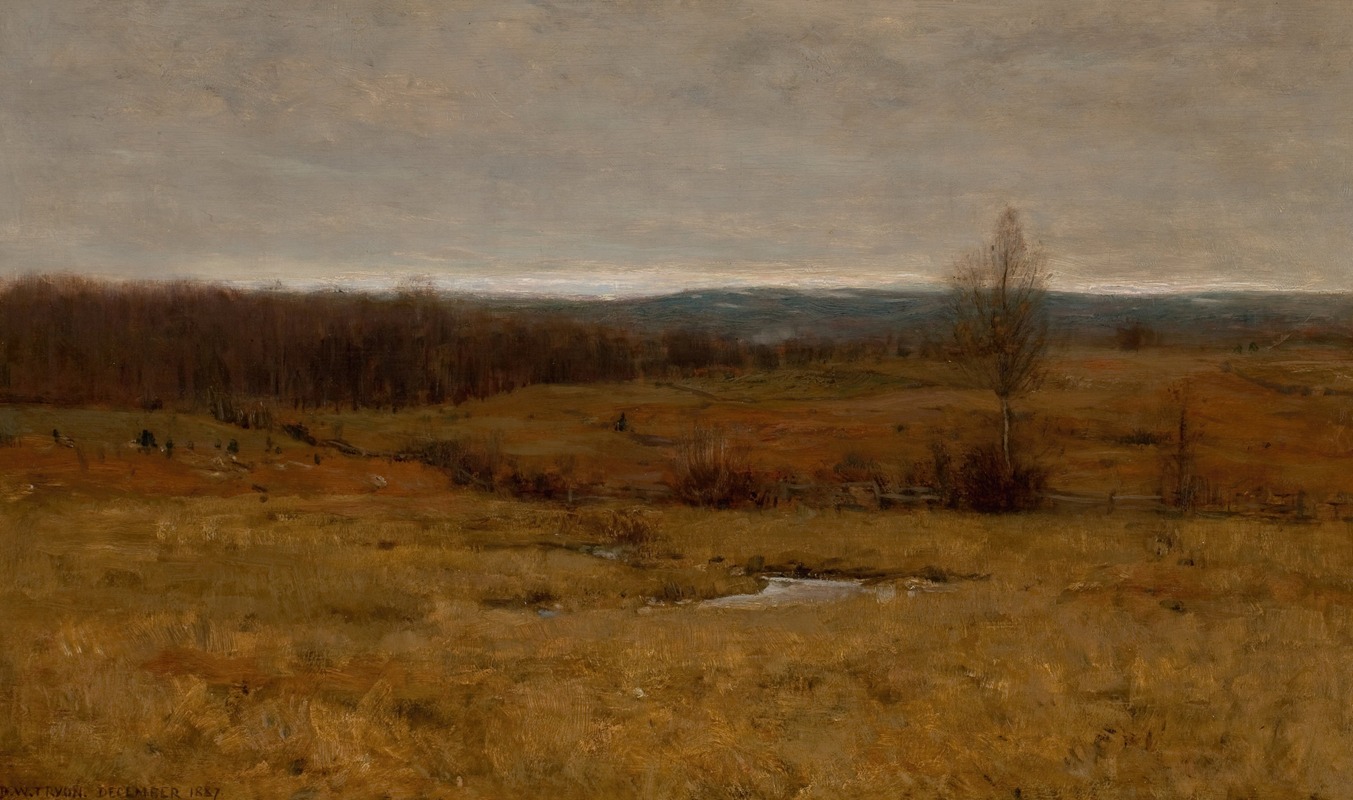Dwight William Tryon - Landscape, December 1887