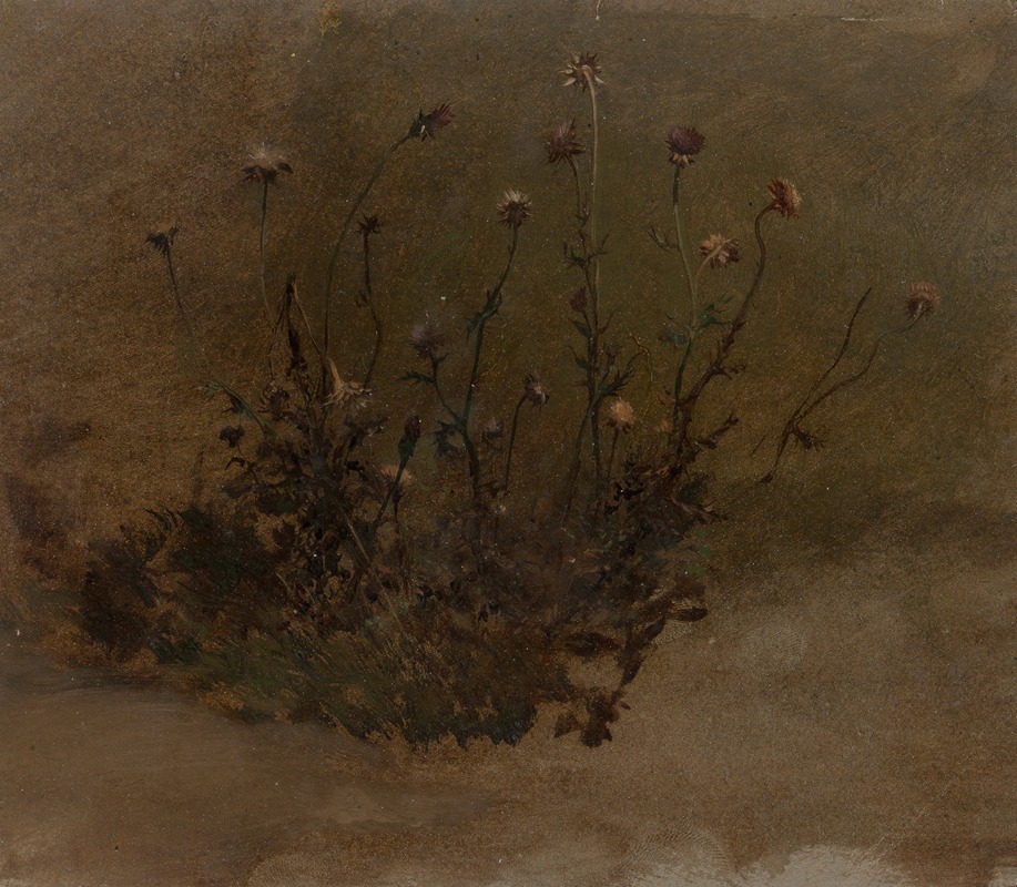 Elihu Vedder - Wild Flowers (Thistles)