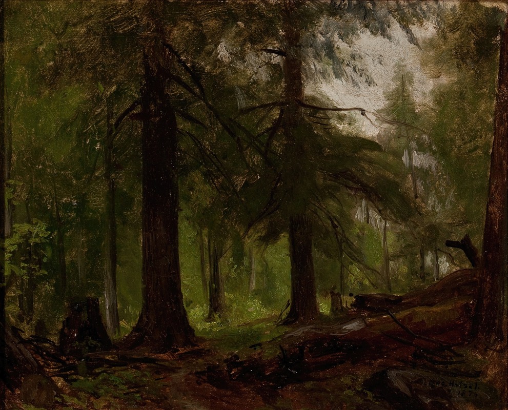 George Hetzel - Forest Interior