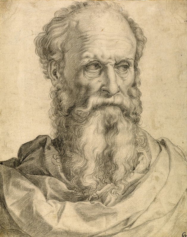 Francesco de' Rossi - Head and Shoulders of a Bearded Man