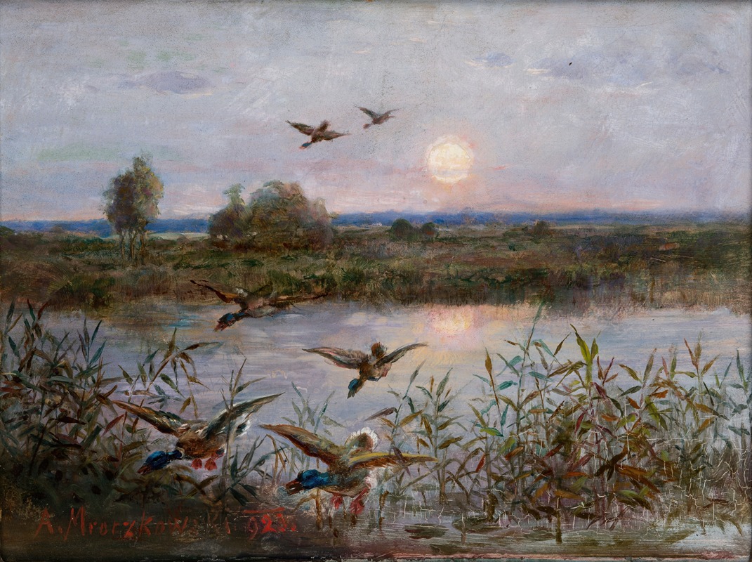 Aleksander Mroczkowski - Ducks over Marshes