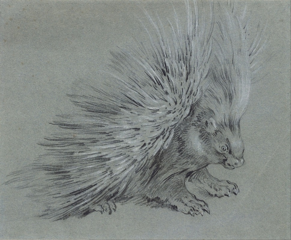 Jean-Baptiste Oudry - Porcupine