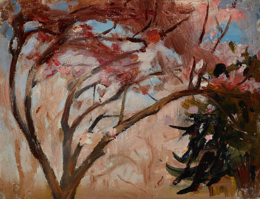 Jan Ciągliński - Crimea (Magnolia)