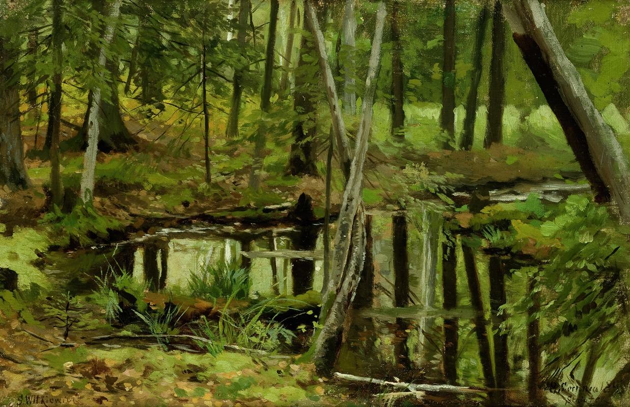 Stanisław Witkiewicz - Forest Wilderness