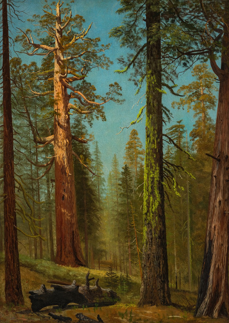 Albert Bierstadt - The Grizzly Giant Sequoia, Mariposa Grove, California