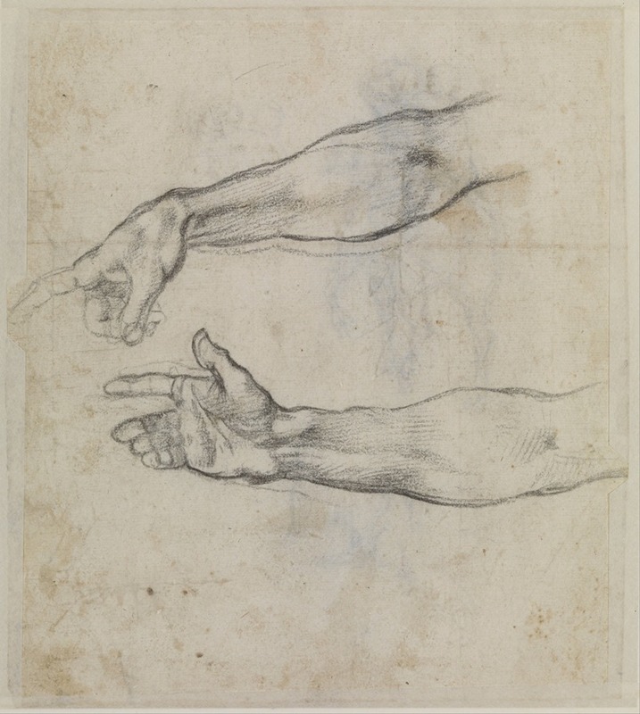 Michelangelo - Studies of an outstretched arm for the fresco ‘The Drunkenness of Noah’ in the Sistine Chapel