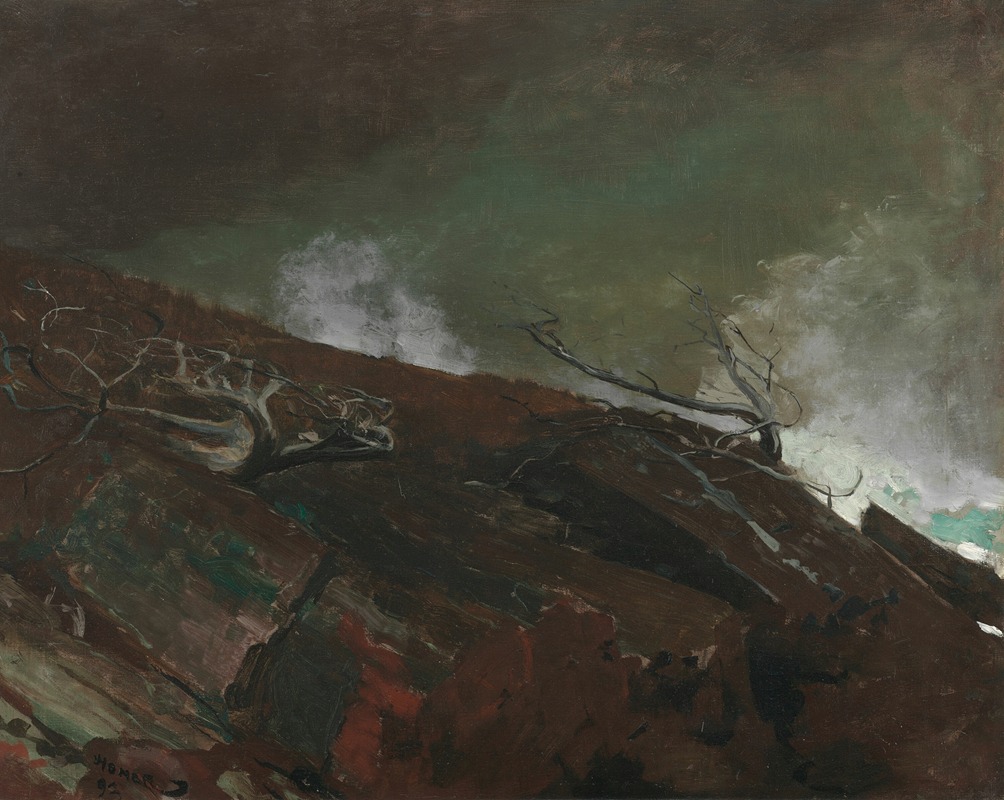 Winslow Homer - Coast of Maine