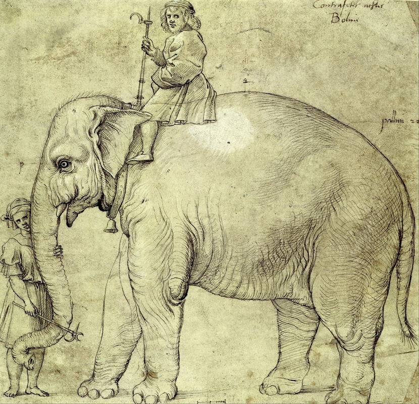Raphael - The Elephant Hanno