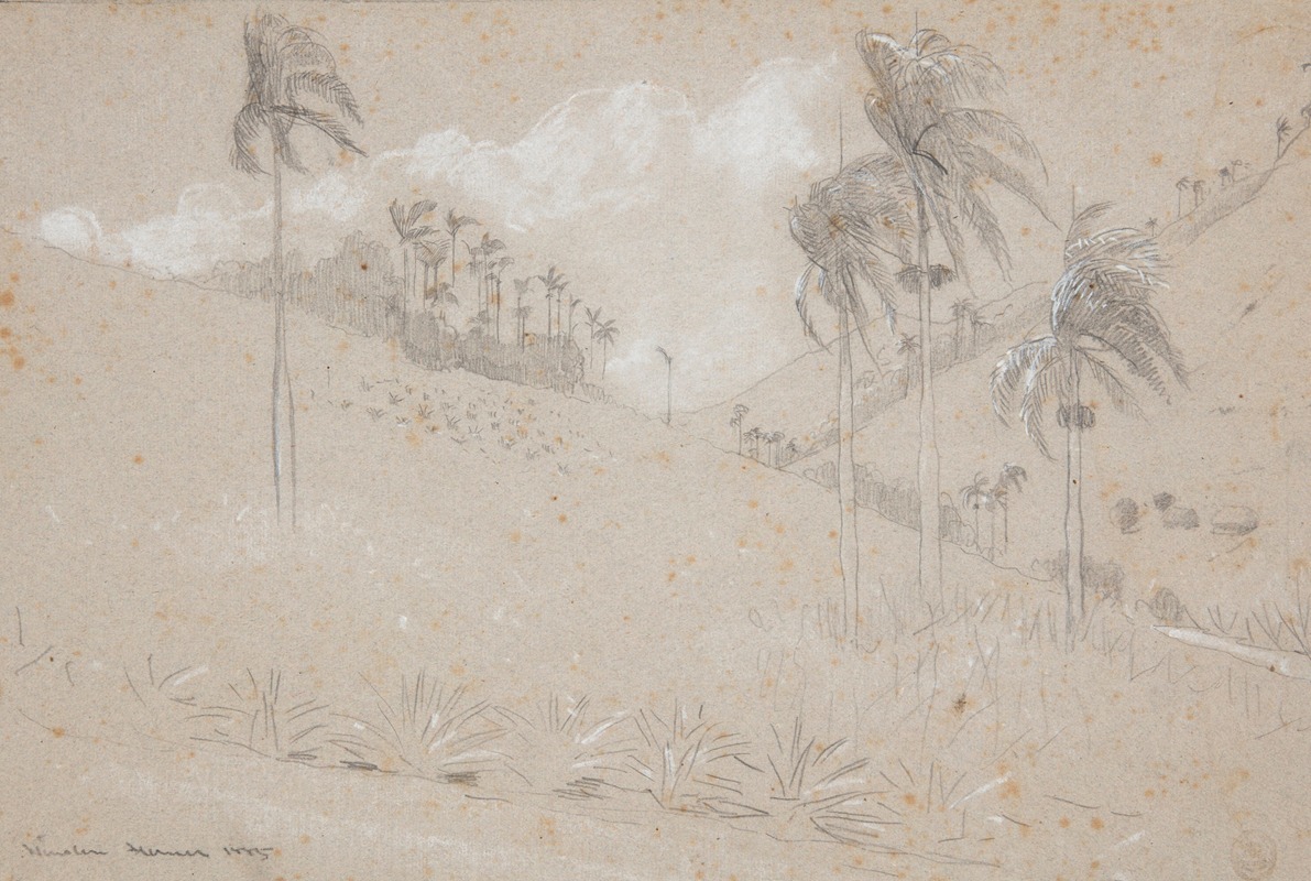 Winslow Homer - Cuban Hillside