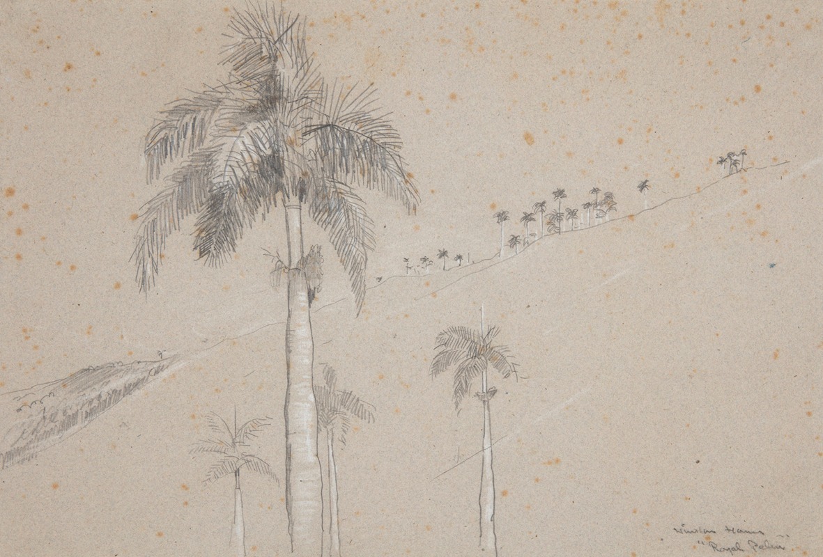 Winslow Homer - Royal Palm, Cuba