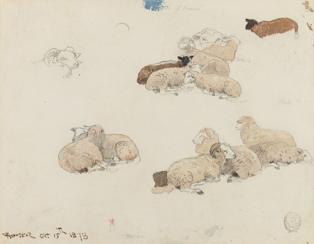 Winslow Homer - Sheep Resting