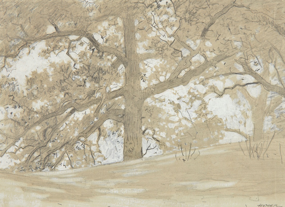Winslow Homer - Waverly Oaks